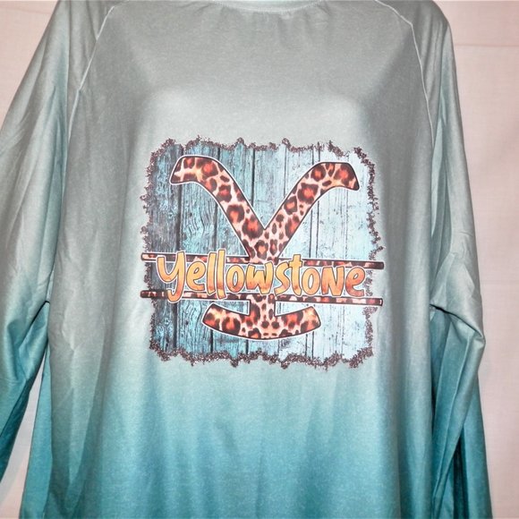Yellowstone L Ombre Aqua Turquoise Stretch Knit Pullover Top I058 - Picture 2 of 6